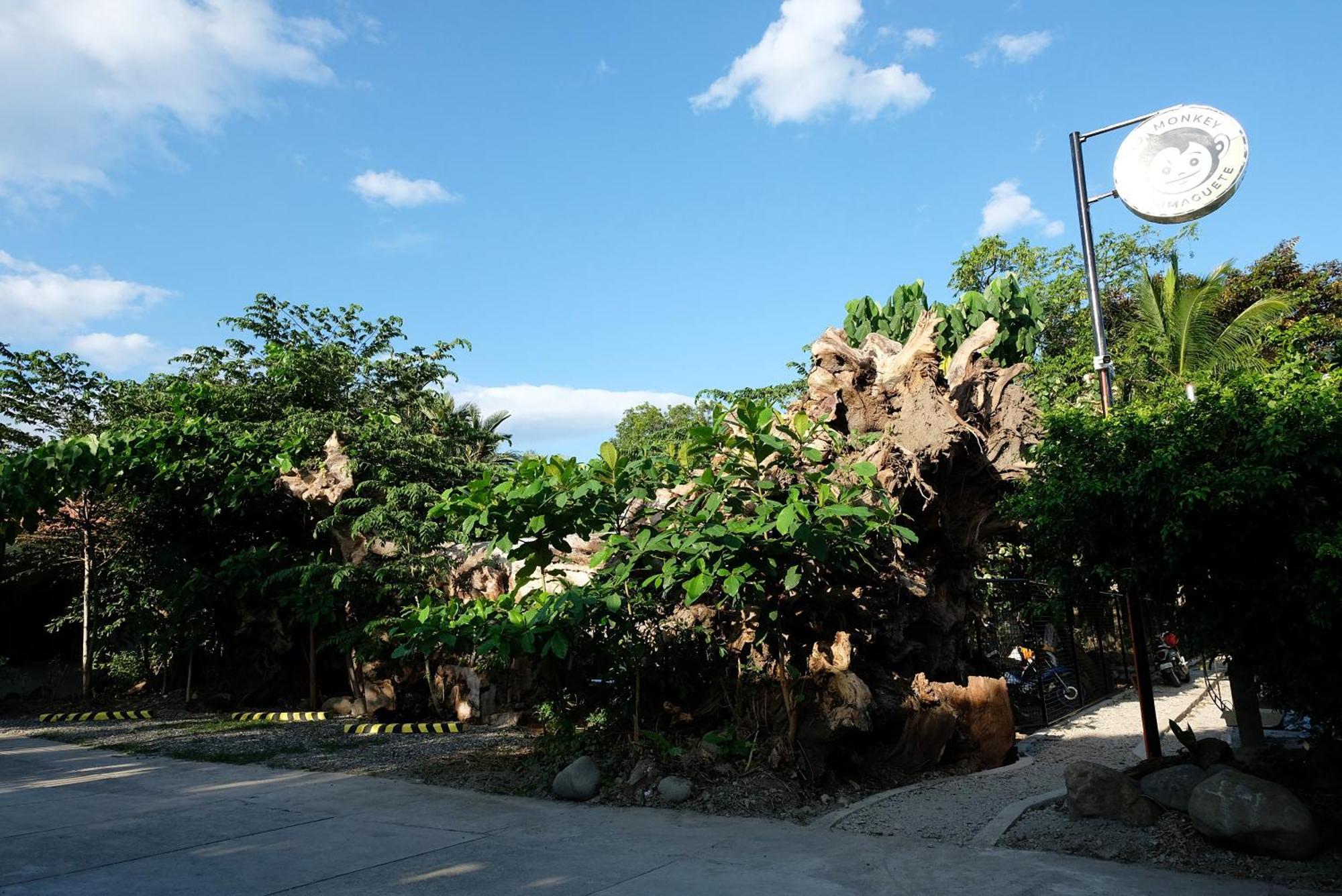 Хостел Mad Monkey Dumaguete Dumaguete City Экстерьер фото